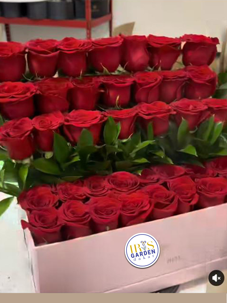 Composition luxueuse de roses rouges en cascade dans une boîte rose élégante